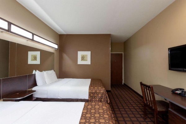 Microtel Inn & Suites By Wyndham Columbia/At Fort Jackson image 10